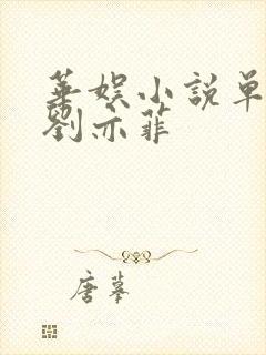 华娱小说单女主刘亦菲