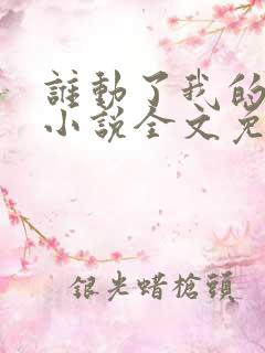 谁动了我的老婆小说全文免费阅读一