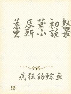 叶辰萧初然最快更新小说最新