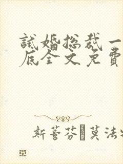 试婚总裁一宠到底全文免费阅读