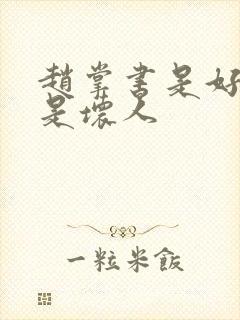 赵掌书是好人还是坏人