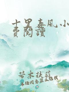 十里春风小说免费阅读