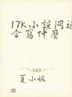 17k小说网适合写什么