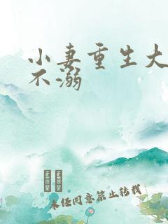 小妻重生大佬宠不溺