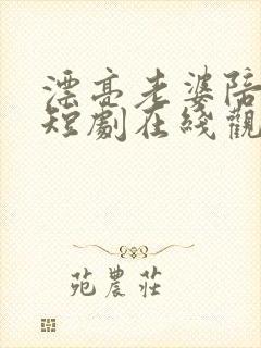 漂亮老婆陪过年短剧在线观看