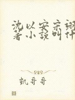 沈以安宋翊白原著小说叫什么