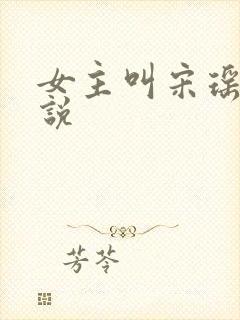 女主叫宋瑶的小说