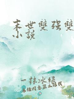 末世双强双男主小说