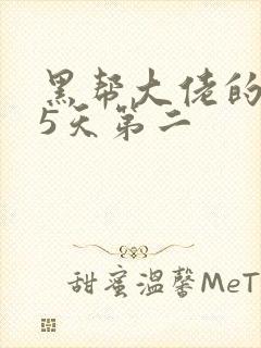 黑帮大佬的365天第二