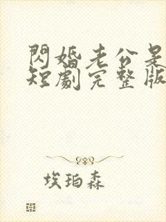 闪婚老公是总裁短剧完整版免费网站