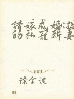 错嫁成婚:总裁的私宠新妻大结局