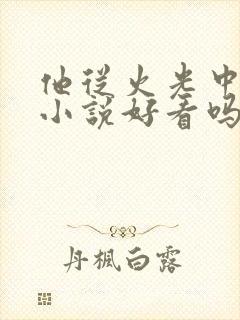 他从火光中走来小说好看吗