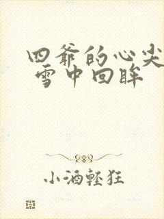 四爷的心尖宠妃 雪中回眸