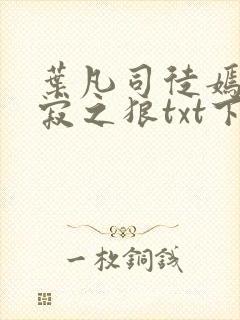 叶凡司徒嫣然孤寂之狼txt下载