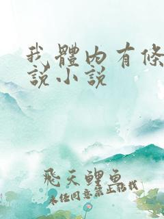 我体内有条龙小说小说
