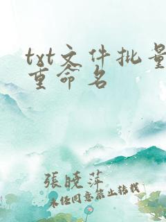 txt文件批量重命名