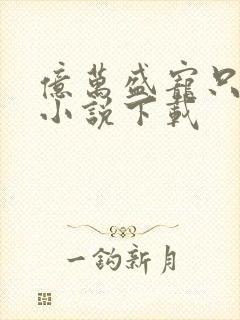 亿万盛宠只为你小说下载