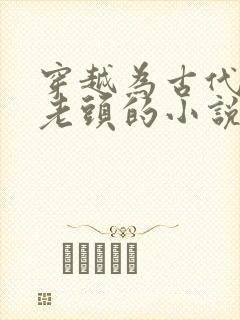 穿越为古代农家老头的小说