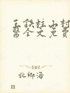 王铁柱山村小神医全文免费阅读