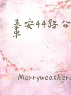 泰安44路公交车