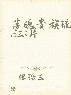 落魄贵族琉璃川,注:片