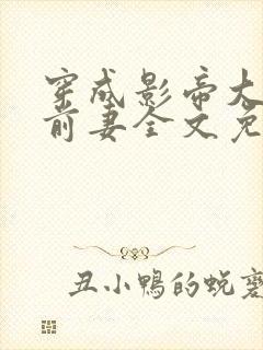 穿成影帝大佬的前妻全文免费