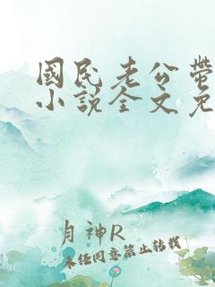 国民老公带回家小说全文免费阅读