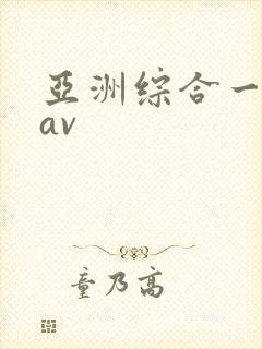 亚洲综合一区二av