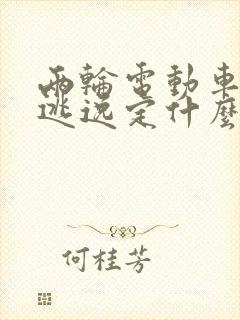 两轮电动车撞人逃逸定什么罪