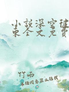 小说深空彼岸辰东全文免费读