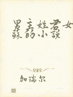 男主姓君女主姓苏的小说