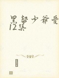 黑帮少爷爱上我12集