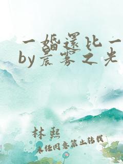 一婚还比一婚高by晨雾之光讲的什么