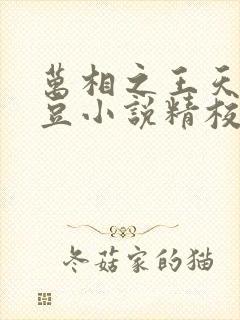 万相之王天蚕土豆小说精校版全集txt