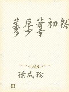 叶辰萧初然共有多少章