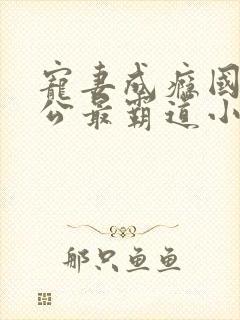 宠妻成瘾国民老公最霸道小说