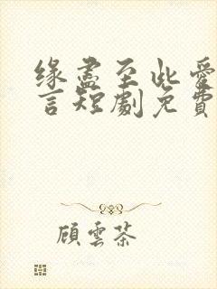 缘尽至此爱不再言短剧免费的