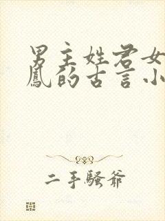 男主姓君女主姓凤的古言小说