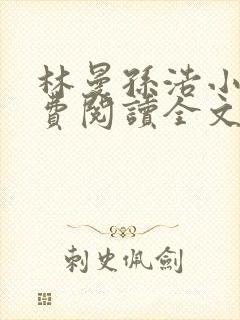 林曼孙浩小说免费阅读全文最新章节