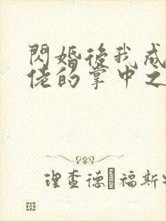 闪婚后我成了大佬的掌中之物