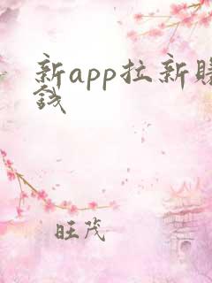 新app拉新赚钱