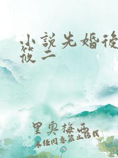 小说先婚后爱梦筱二