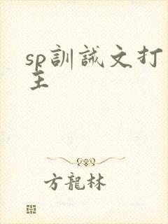 sp训诫文打男主