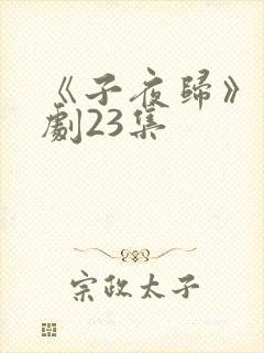 《子夜归》电视剧23集