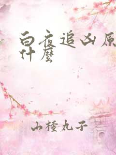 白夜追凶原著叫什么