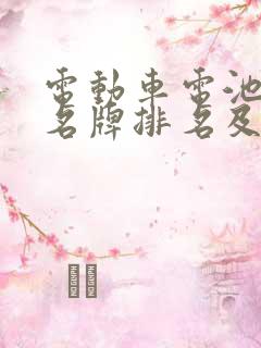 电动车电池十大名牌排名及价格