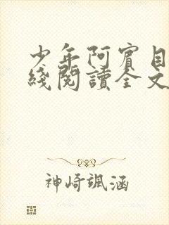 少年阿宾目录在线阅读全文