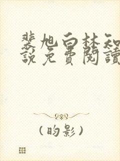 裴旭白林知夏小说免费阅读最新章节