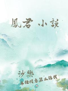 凤君 小说