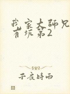 我家大师兄脑子有坑第2